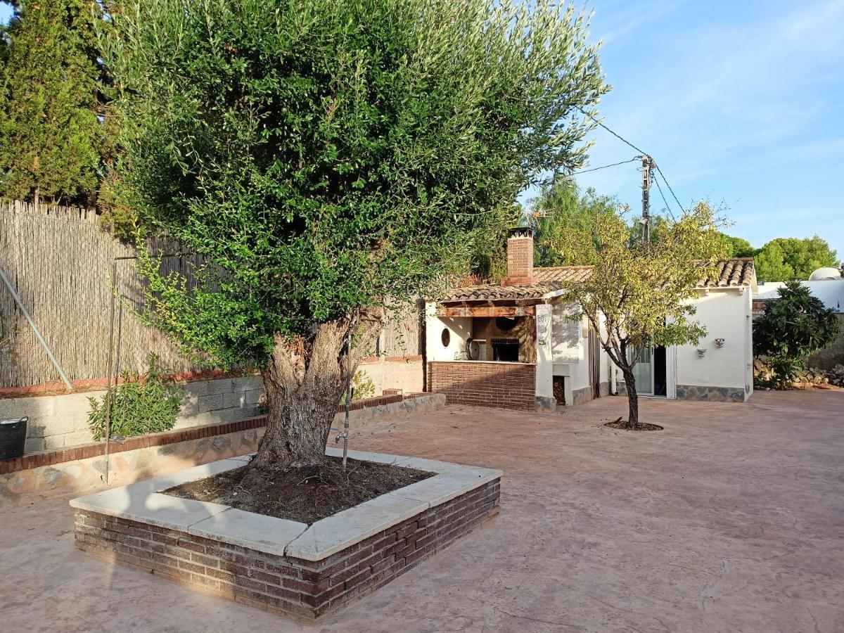 Las Yucas Rural House Busot Εξωτερικό φωτογραφία
